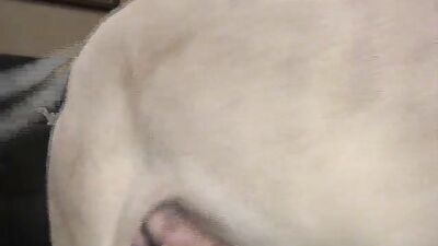 Dog girl porn: dog xxx girl webcam video