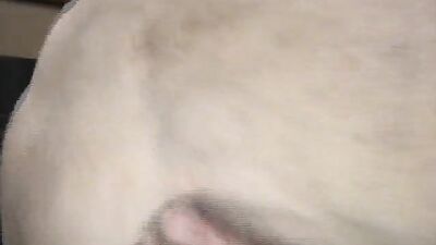 Dog girl porn: dog xxx girl webcam video