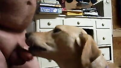 Zoo porn video: sonya zoo porn laxure tv see
