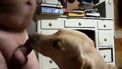 Zoo porn video: sonya zoo porn laxure tv see