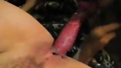 Art of zoo porn: animal porn pig women