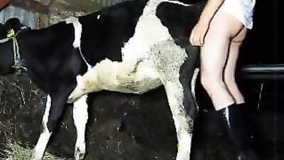 Zoo porn man: girl love dog cocks