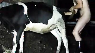 Zoo porn man: girl love dog cocks