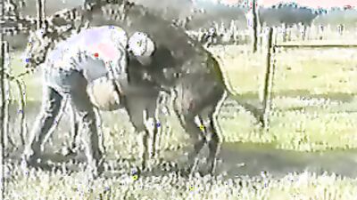 Bestiality sex id: https animal sex video url