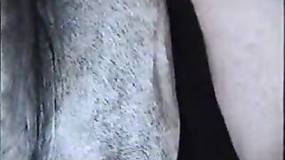 Zoo dog sex: k9 dominates slut zoophilia