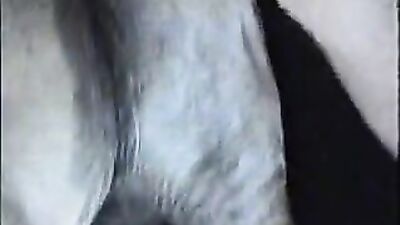 Zoo dog sex: k9 dominates slut zoophilia