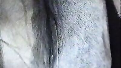 Zoo dog sex: k9 dominates slut zoophilia