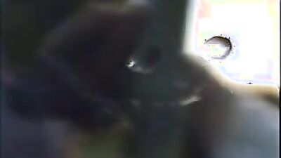 Dog sex porno: hentai dog bestiality manga