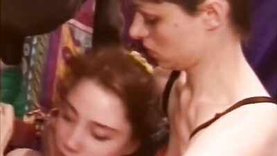 Dogs having sex: zoo sex porn best