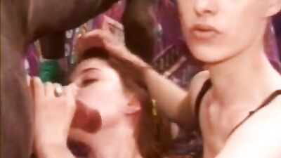 Dogs having sex: zoo sex porn best