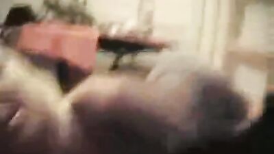 Bestiality zoo: dog sex ultimate compilation