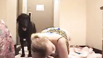 Dog's porn: mating animal sex