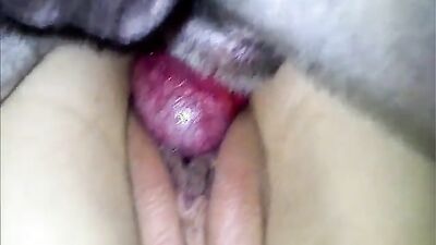 Dog girl: 3 d zoo sex