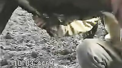 Dog sex porno: public dogging porn