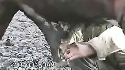 Dog sex porno: public dogging porn