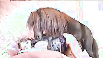 Bestiali comics: zoo porn downloads