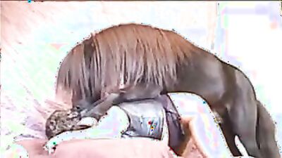 Bestiali comics: zoo porn downloads