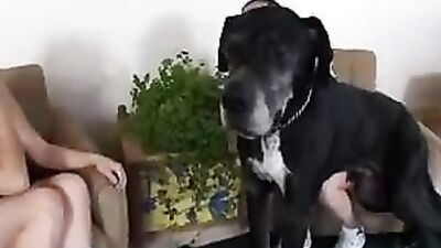 Dog fuck porn: teen taboo zoo porn cc