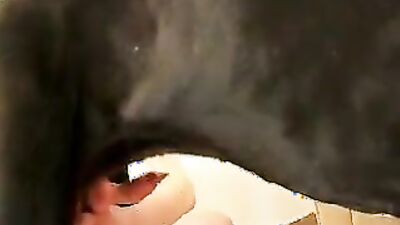 Dog's porn: dog lovers sex guide