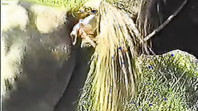 Zoo sex porno: secret sex with an animal intimate