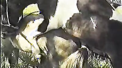 Zoo sex porno: secret sex with an animal intimate