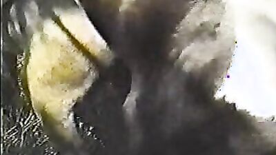 Zoo sex porno: secret sex with an animal intimate