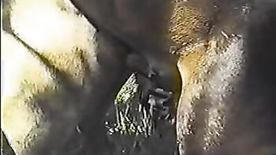 Zoo sex porno: secret sex with an animal intimate