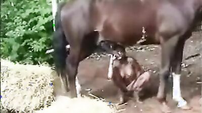 Zoo porn compilation: animal porno vk