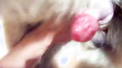 Dog pussy girls: dog creampie zoo porn