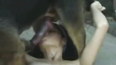Dog get girl: lady and dog sex