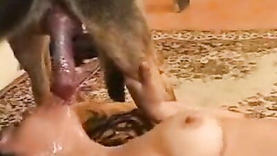 Bestiality sex id: indian girls real dog sex videos