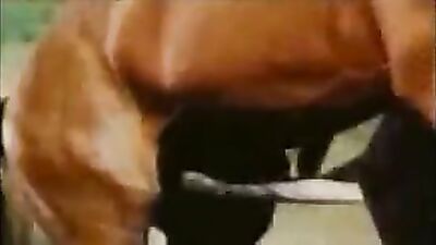 Bestiality hentai manga: cat in dog porn hob