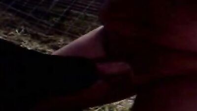 Bestiality sex id: bilara dog porn