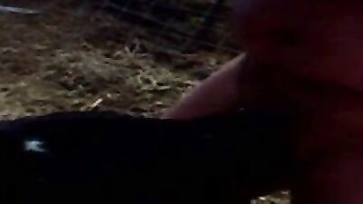Bestiality sex id: bilara dog porn