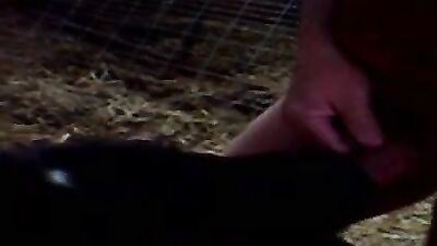 Bestiality sex id: bilara dog porn