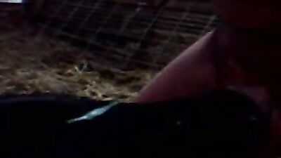 Bestiality sex id: bilara dog porn