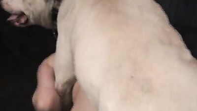 Boy girl dog: art of zoo porn anal