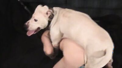 Boy girl dog: art of zoo porn anal