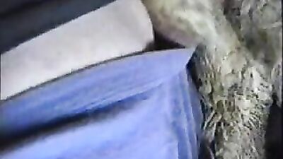 Zoo porn compilation: zoo transformation sex comics album