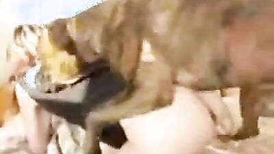 Dog gay porn: zoo porno home video girl