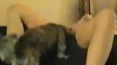 Dogs having sex: zoo little sex