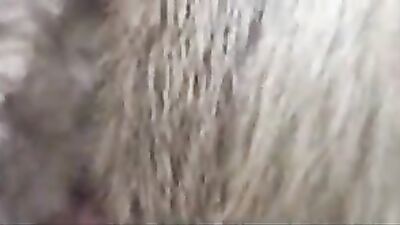 Dog girl: fox zoo porn