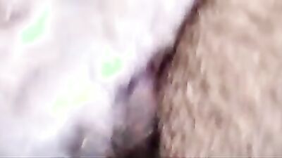 Dog girl: fox zoo porn