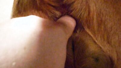 Women's dog sex: silesto zoophilia