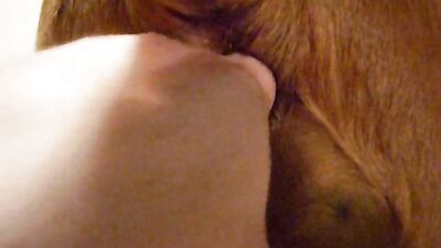 Women's dog sex: silesto zoophilia