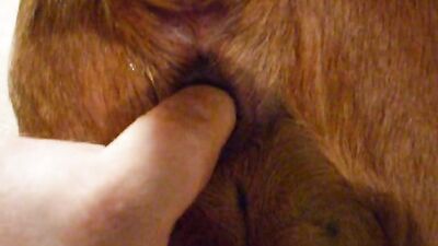 Women's dog sex: silesto zoophilia