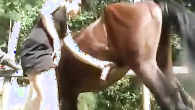 Bestiality sex: raven quest zoo porn