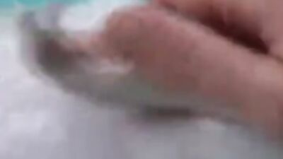Animal sex video: dog sex russian