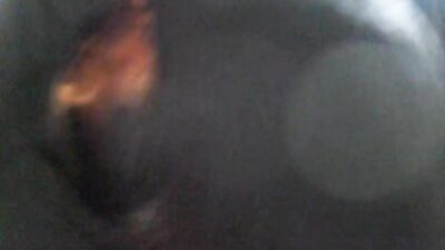 Animal sex: russia zoo video