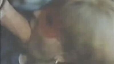 Bestiality zoo: bestiality porn movies